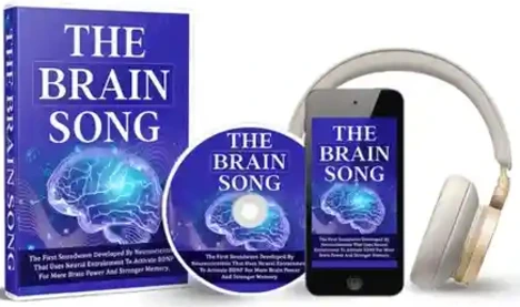 The Brain Song audio program