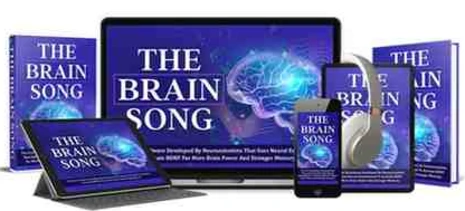 The Brain Song official website